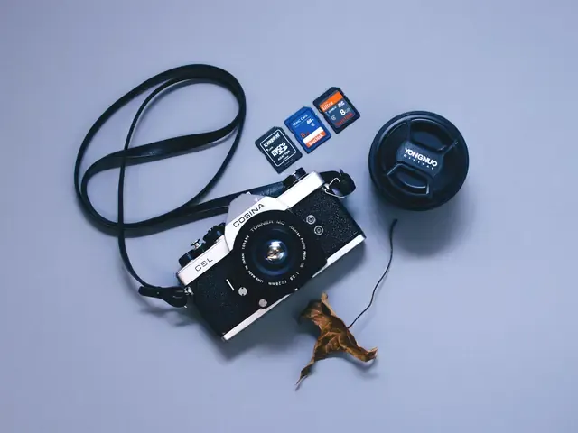 Un boîtier photo et ses cartes mémoire, posés à plat